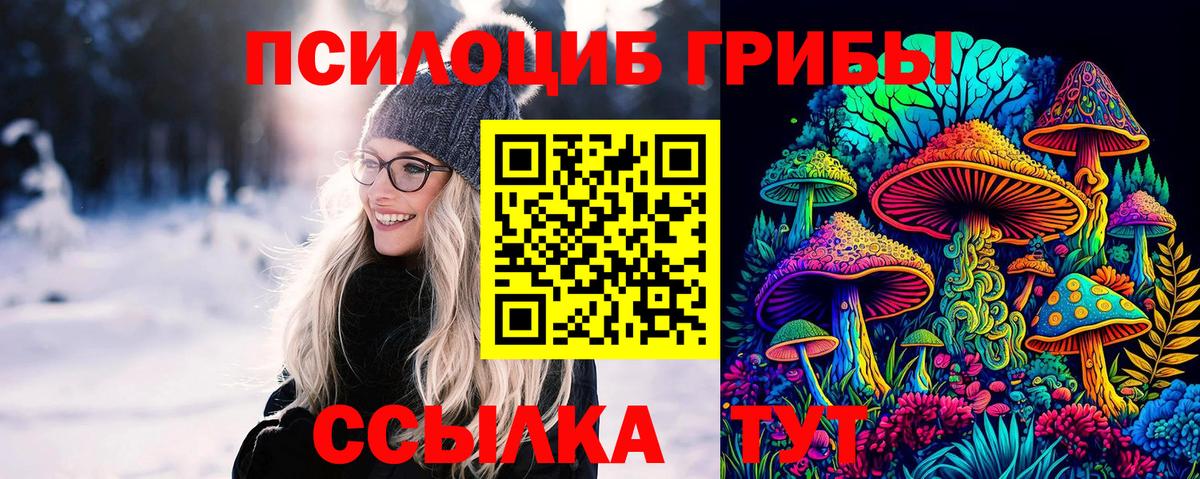 Карталы  Галлюциногенные грибы MAGIC MUSHROOMS  Вход с VPN 